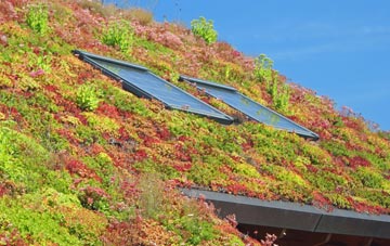 Cleveley living roof systems