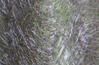 Cleveley fibreglass roof work